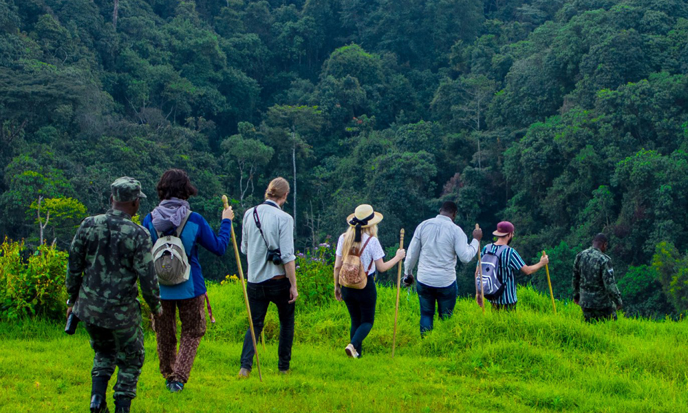 How to Start planning 8 Days Budget Uganda primate safari vacation and wildlife safari escape 